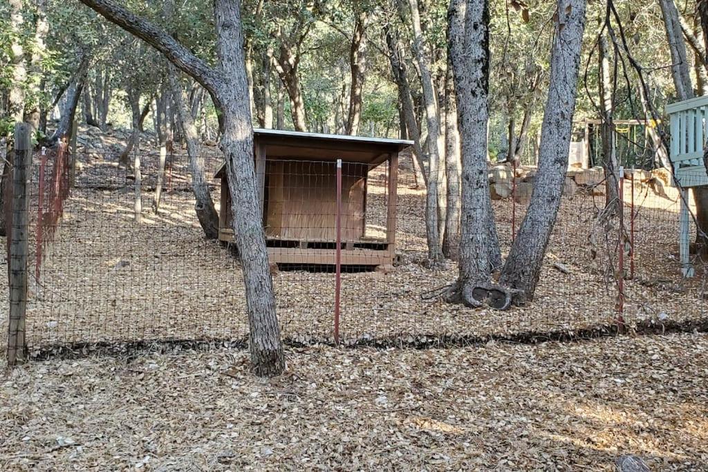 Pine Hills Cabin In Julian Kültér fotó